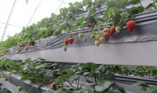 3月7日什么节 3月7日什么节